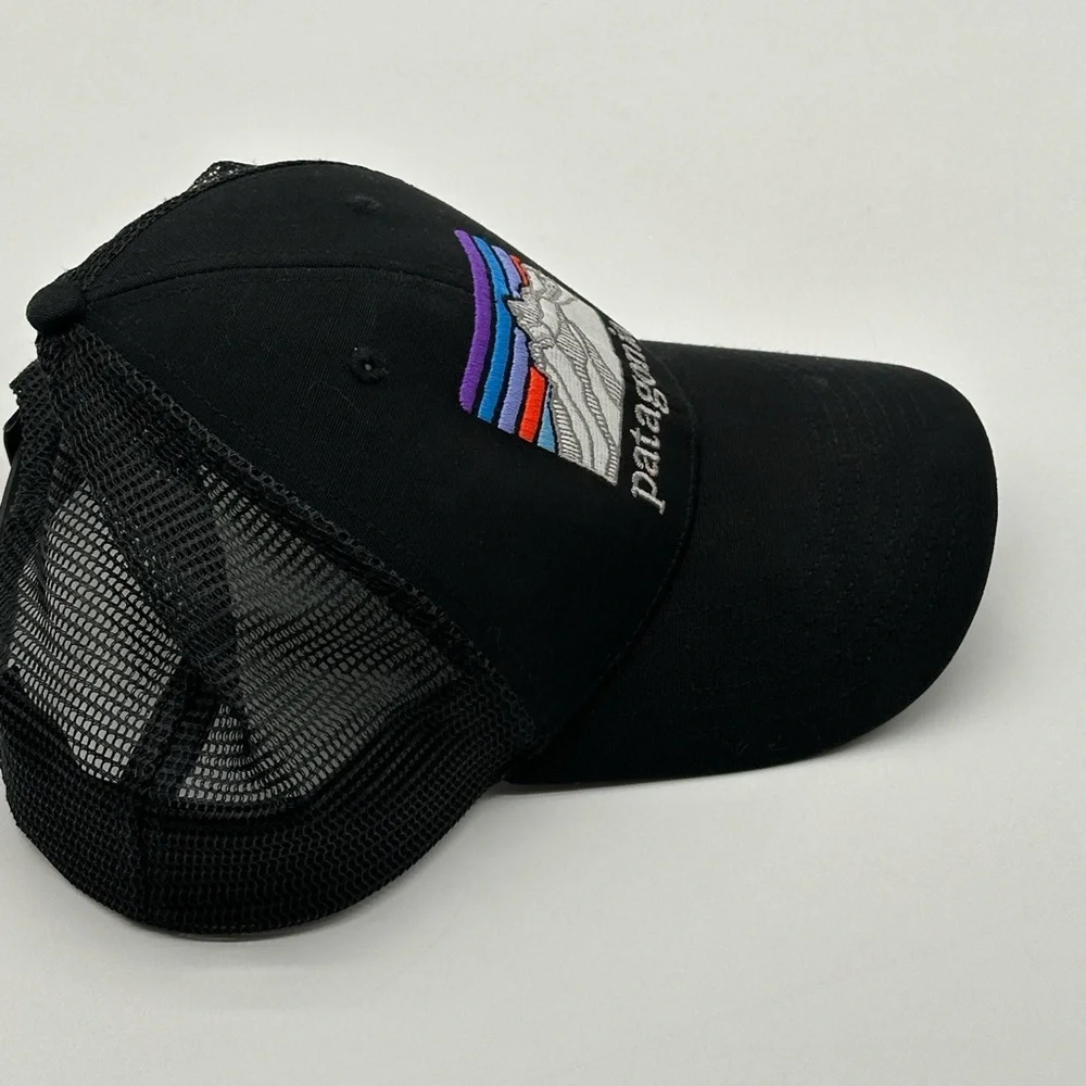 EUC Patagonia Mesh Canvas Patch Sunset Mountain Logo netplus Trucker Vintage Hat